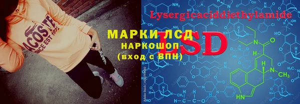таблы Новозыбков